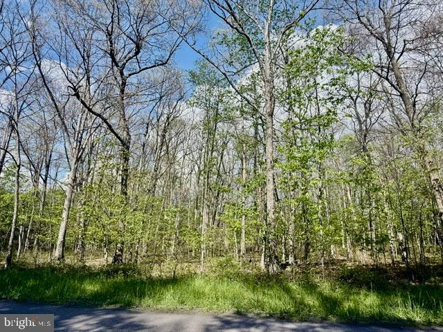 Turkey Neck Road Swanton, MD 21561 - Photo 8 of 23 a view of a yard