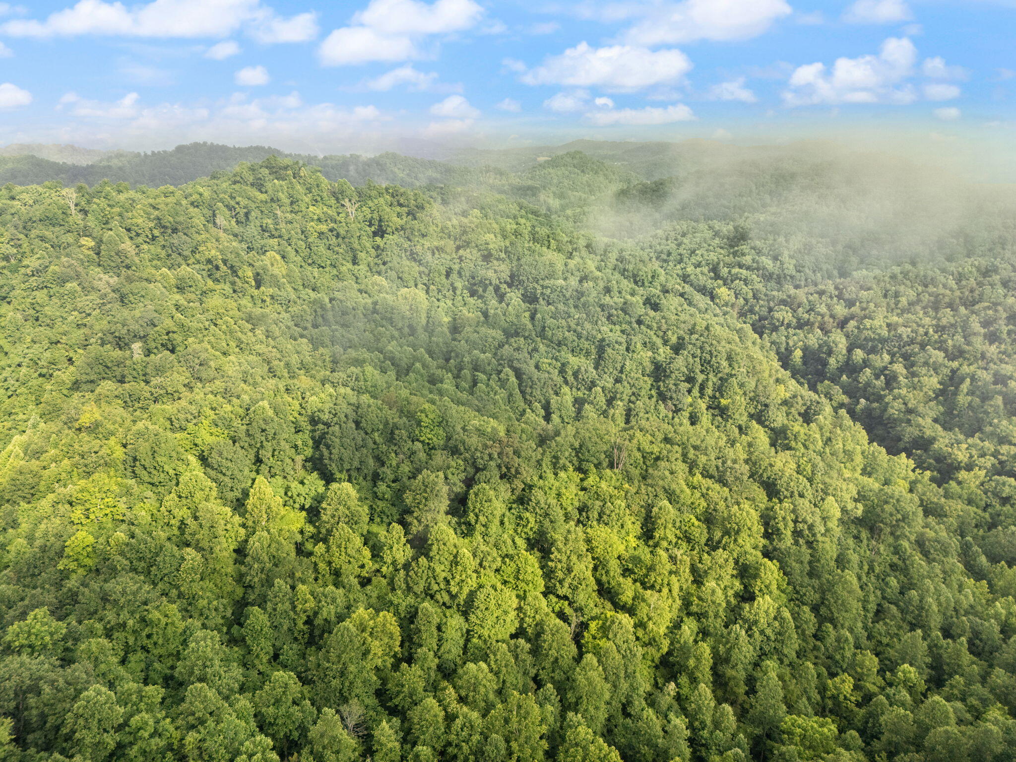 492 Sugar Camp Road Booneville, KY 41314 - Photo 34 of 44 24-web-or-mls-DJI_20250701090732_0066_D
