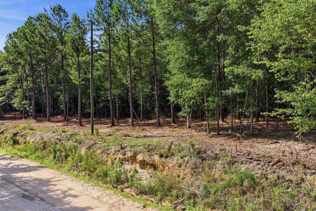 Lot #2 Crosby Clark Road Opp, AL 36467 - Photo 6 of 8