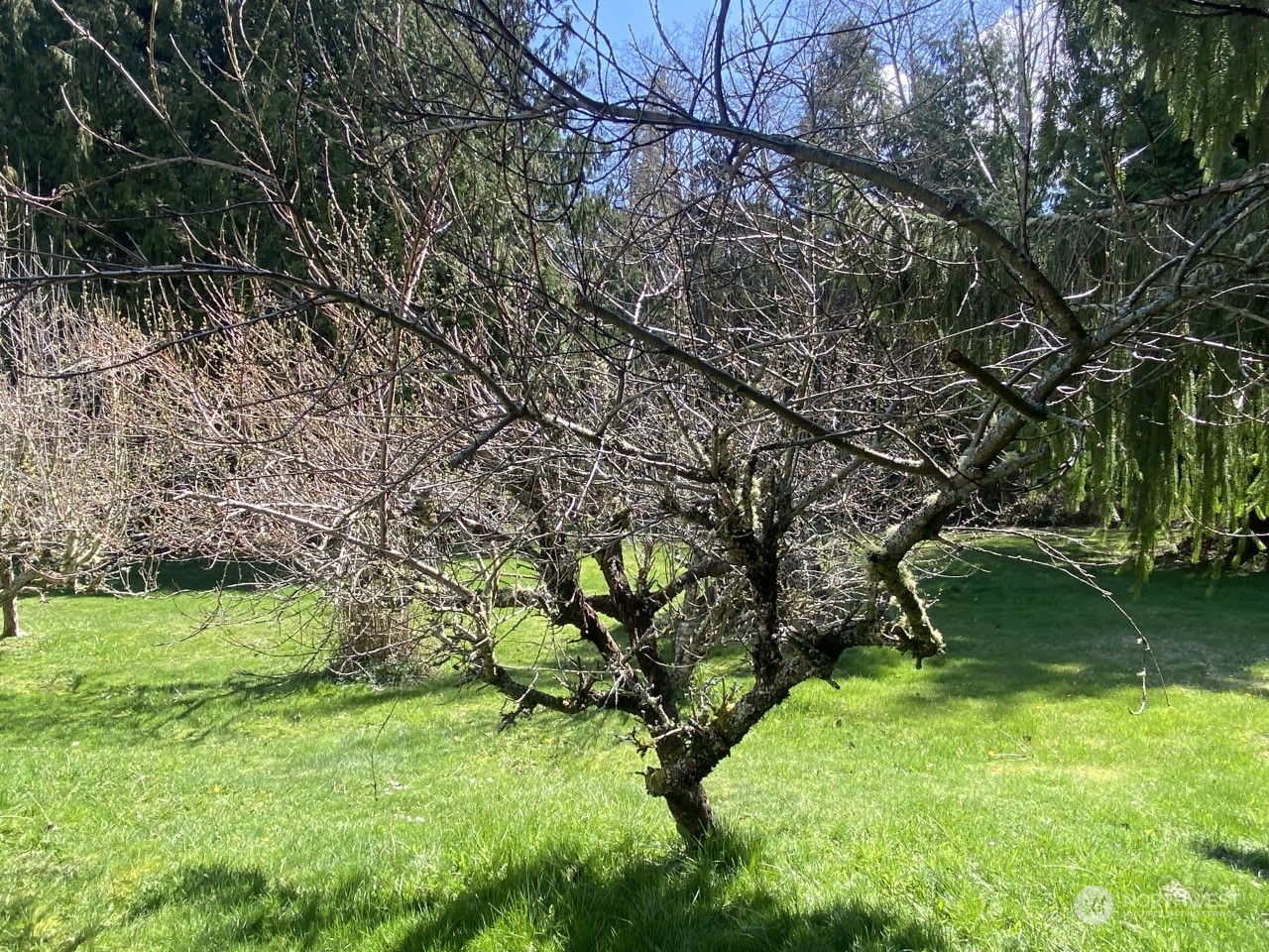 450 Cook Road Camano Island, WA 98282 - Photo 29 of 39 Gallery Image 29