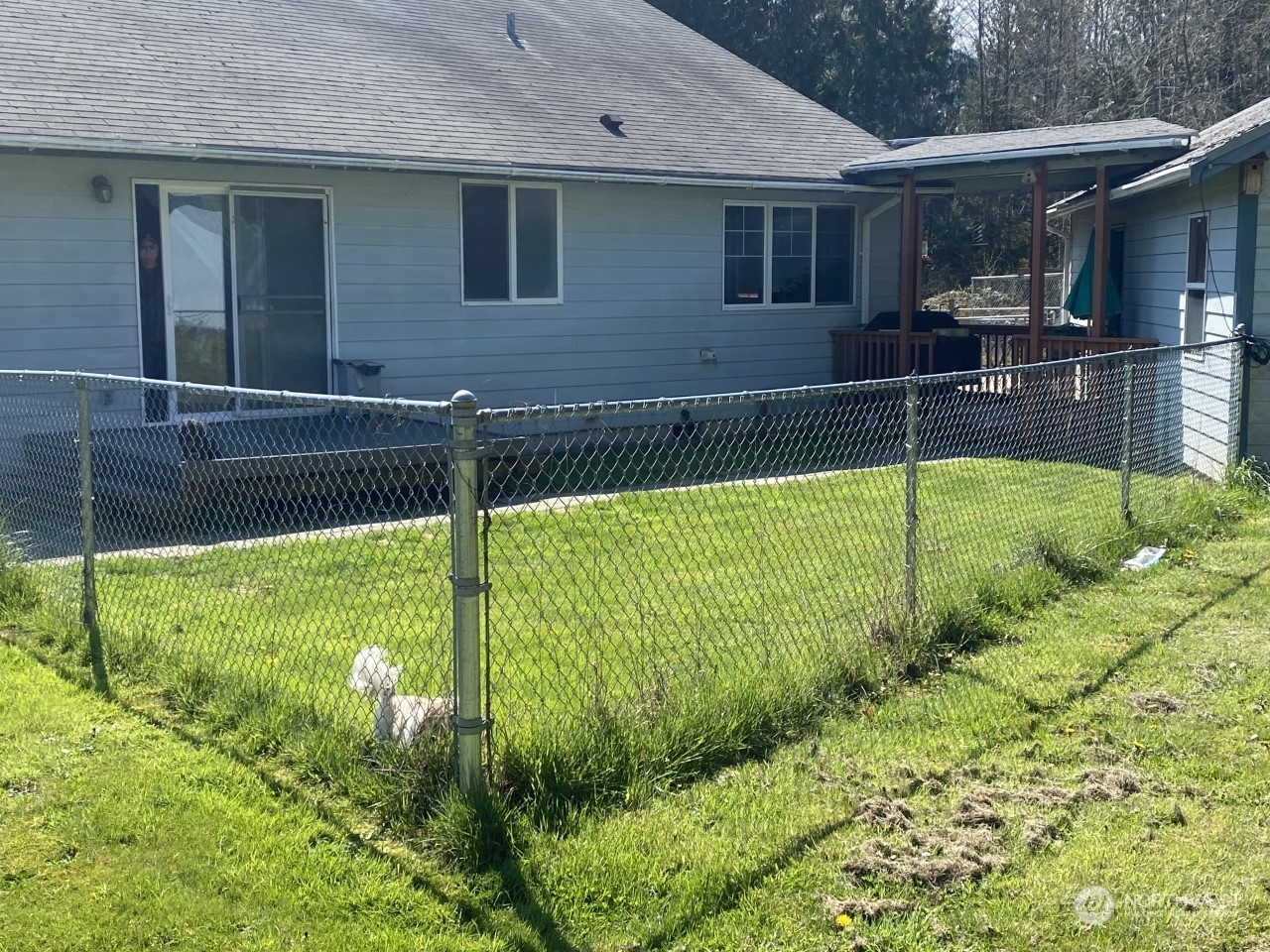 450 Cook Road Camano Island, WA 98282 - Photo 4 of 39 Gallery Image 4