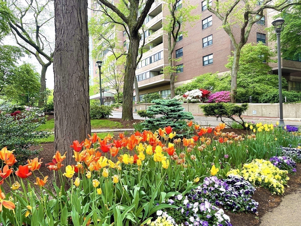 2 Hawthorne Place, Unit 16M Boston, MA 02114 - Photo 29 of 36 a view of a flower in a garden with sitting area