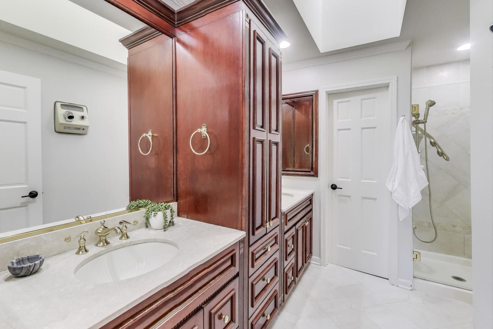 924 Stonefield Circle Inverness, IL 60067 - Photo 26 of 50 a en suite bathroom with a sink a mirror and shower