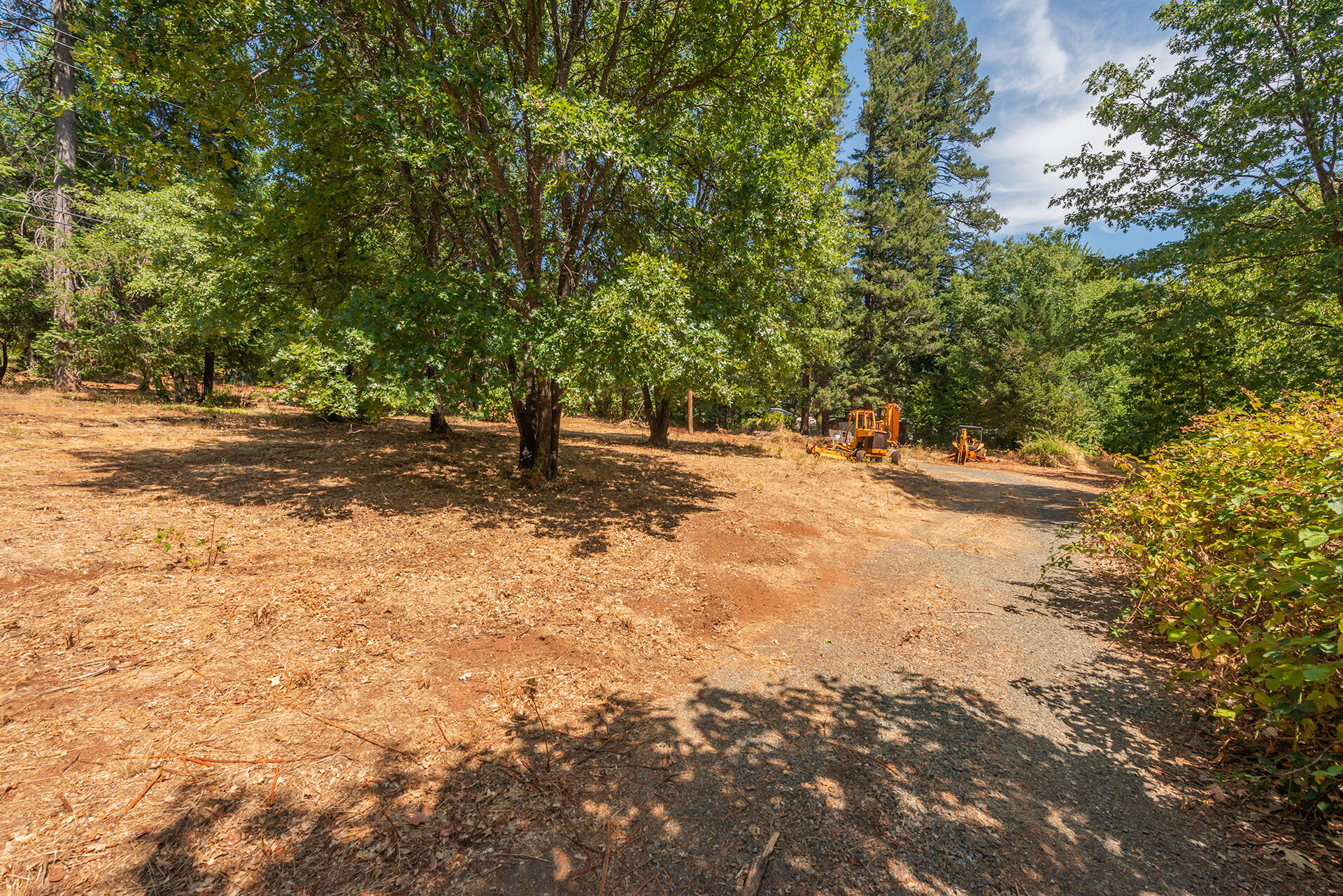 171 Conner Creek Road Junction City, CA 96048 - Photo 12 of 38 a view of a yard with a tree