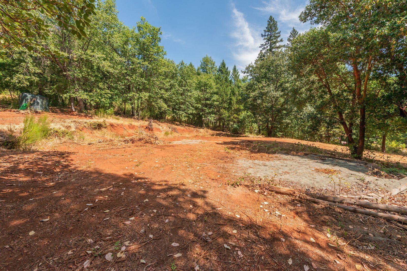 171 Conner Creek Road Junction City, CA 96048 - Photo 12 of 26 a view of empty yard with large trees