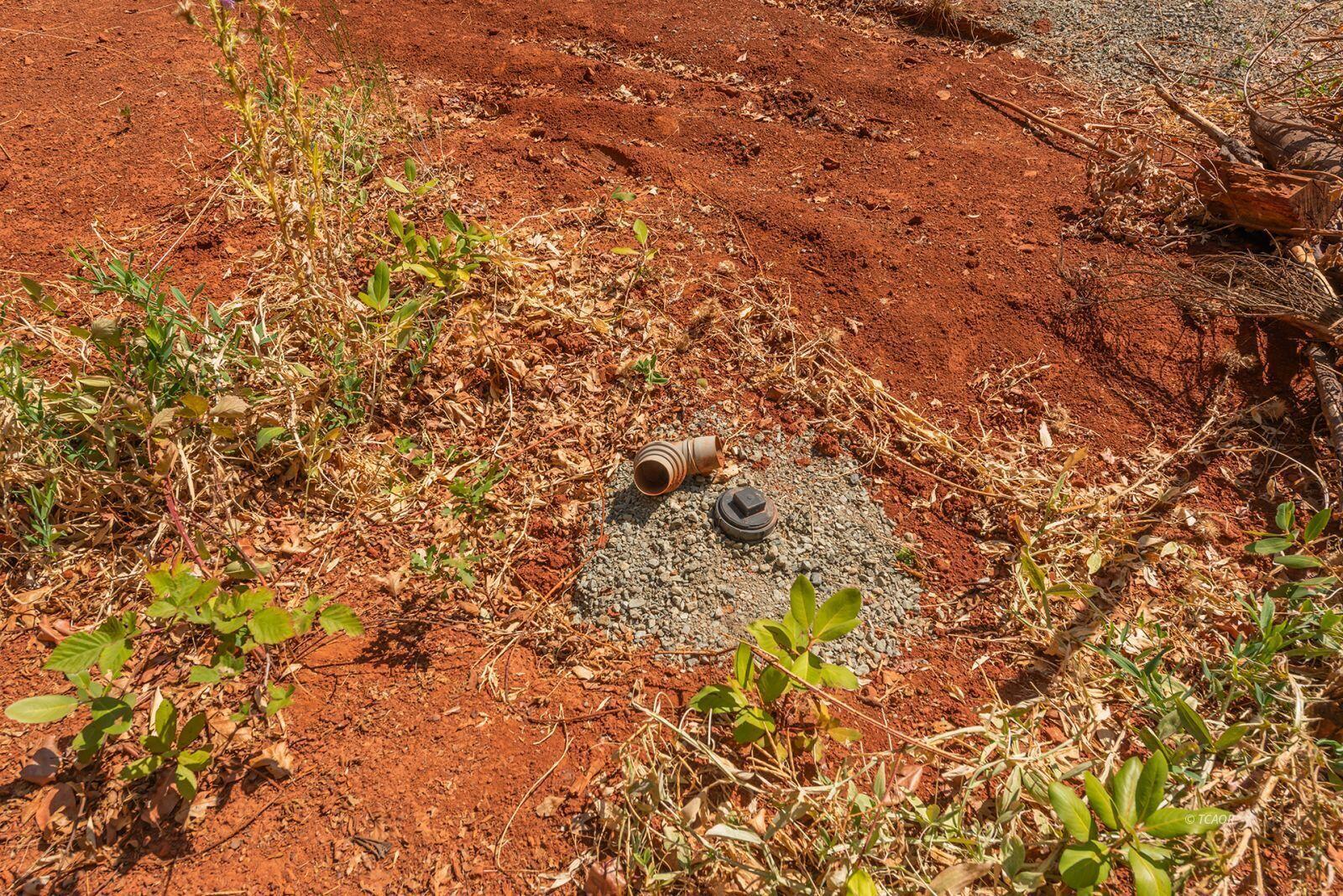 171 Conner Creek Road Junction City, CA 96048 - Photo 14 of 26 a view of a yard of a house