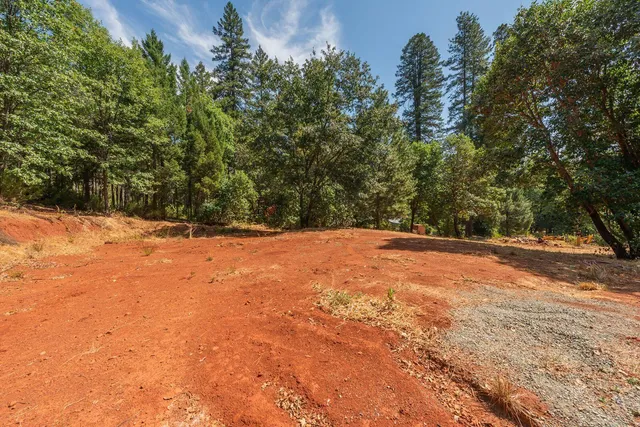 a backyard of a house with large trees