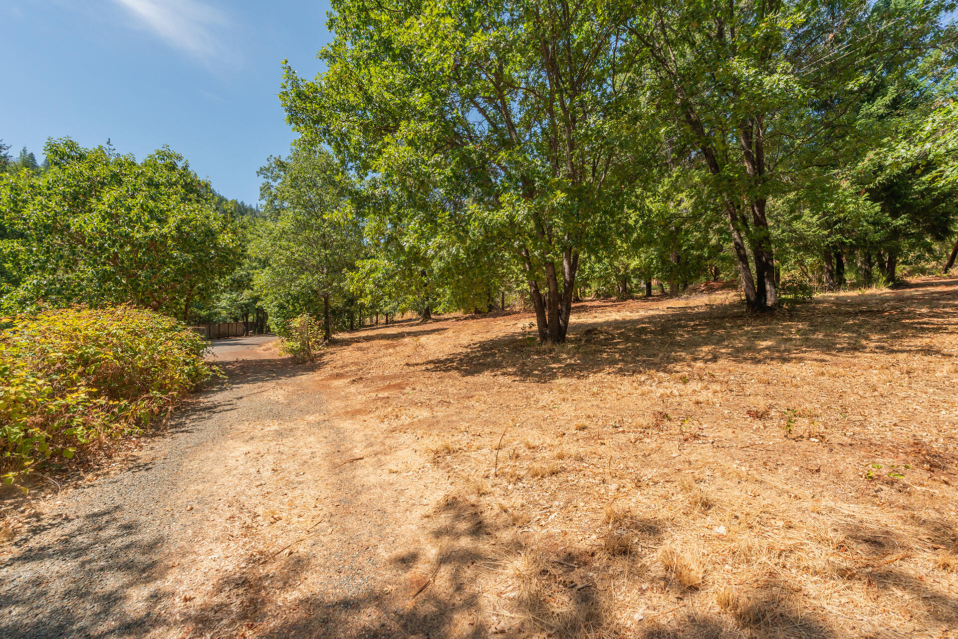 171 Conner Creek Road Junction City, CA 96048 - Photo 15 of 38 DSC_0841