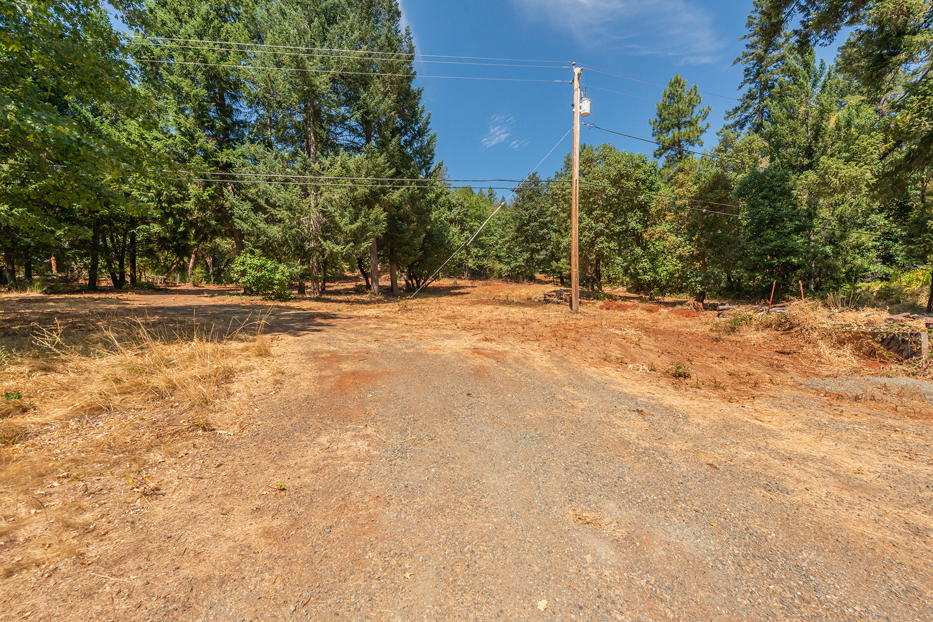171 Conner Creek Road Junction City, CA 96048 - Photo 16 of 38 DSC_0842