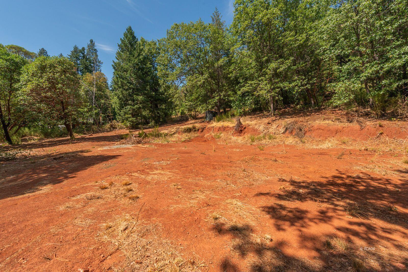 171 Conner Creek Road Junction City, CA 96048 - Photo 17 of 26 a backyard of a house with large trees