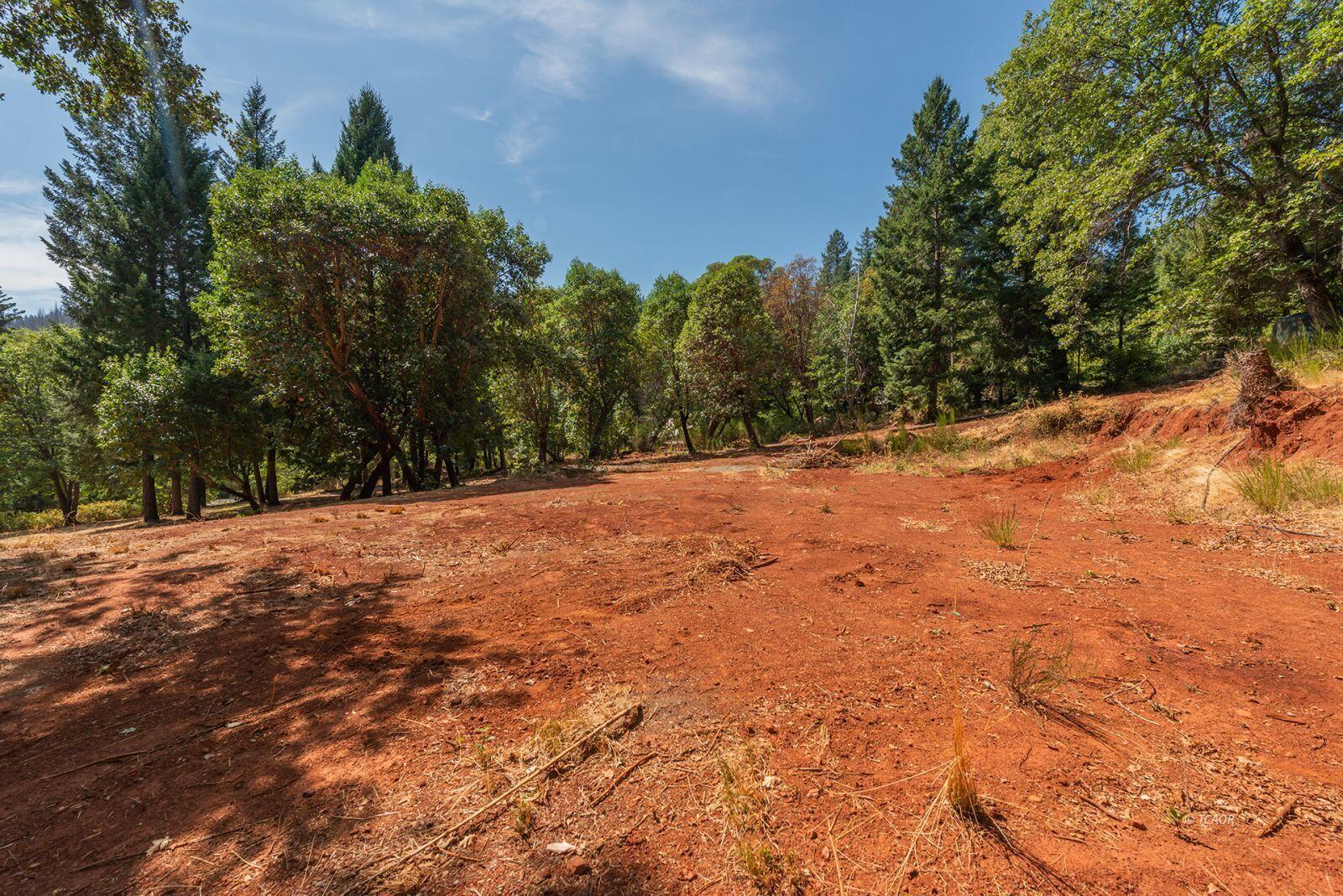171 Conner Creek Road Junction City, CA 96048 - Photo 19 of 26 a outdoor space with lots of trees