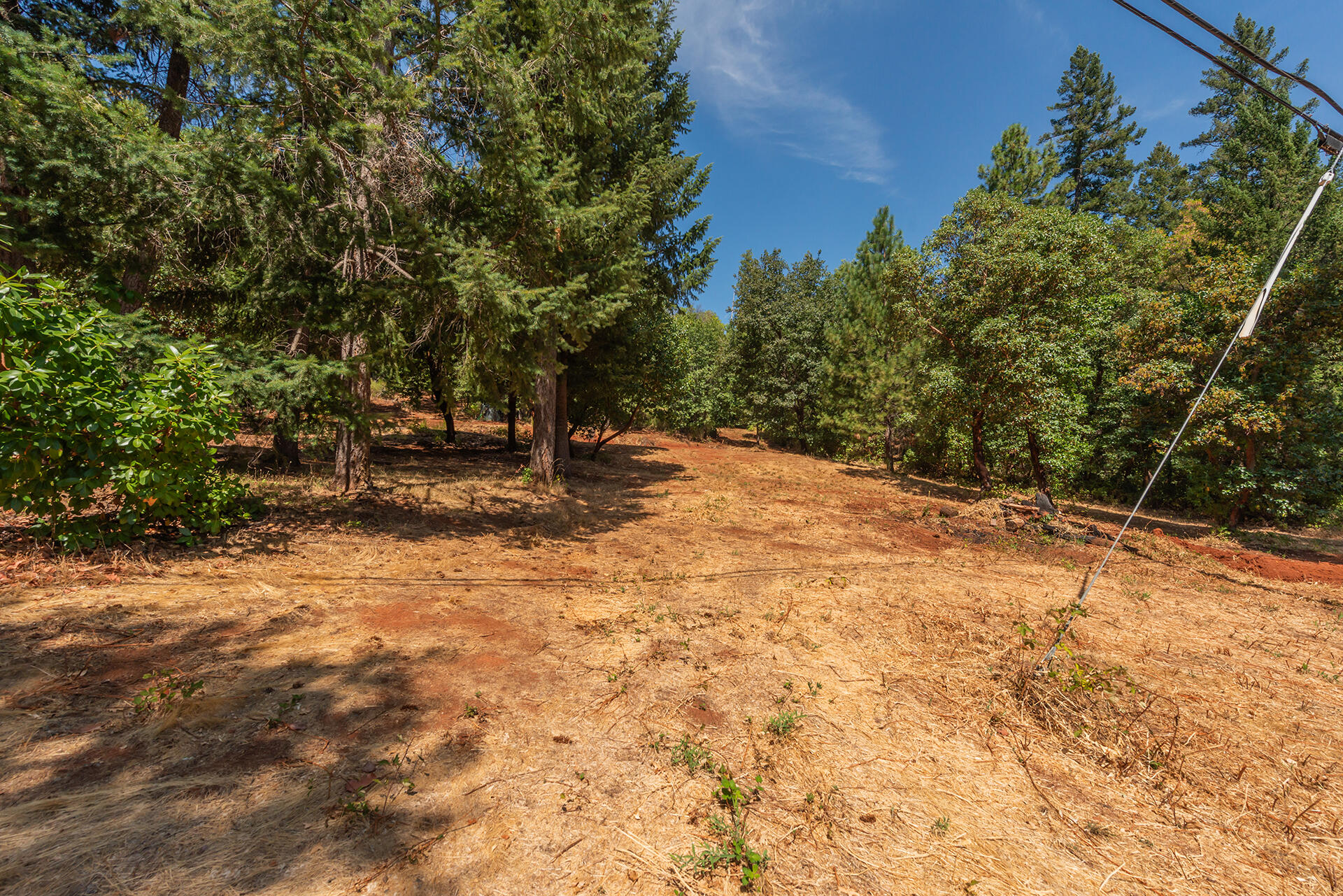171 Conner Creek Road Junction City, CA 96048 - Photo 19 of 38 a backyard of a house with large trees and plants