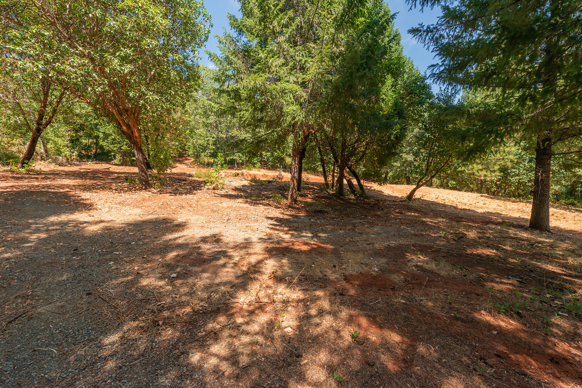 171 Conner Creek Road Junction City, CA 96048 - Photo 21 of 38 a view of dirt yard with a tree