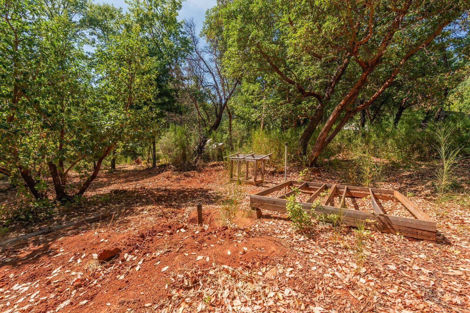171 Conner Creek Road Junction City, CA 96048 - Photo 22 of 26 a view of yard with green space