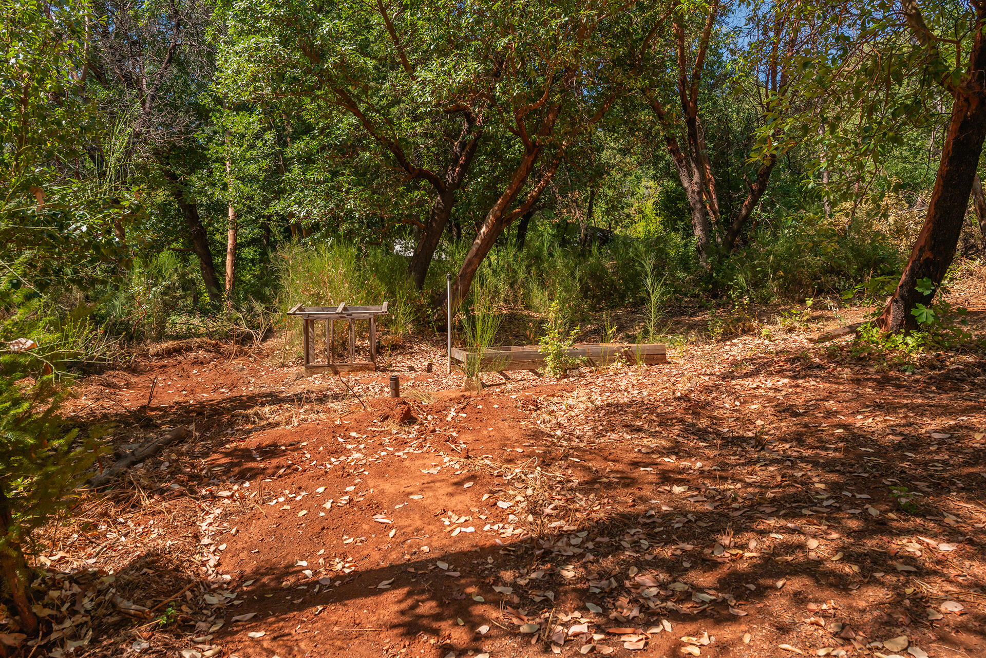 171 Conner Creek Road Junction City, CA 96048 - Photo 22 of 38 a backyard of a house