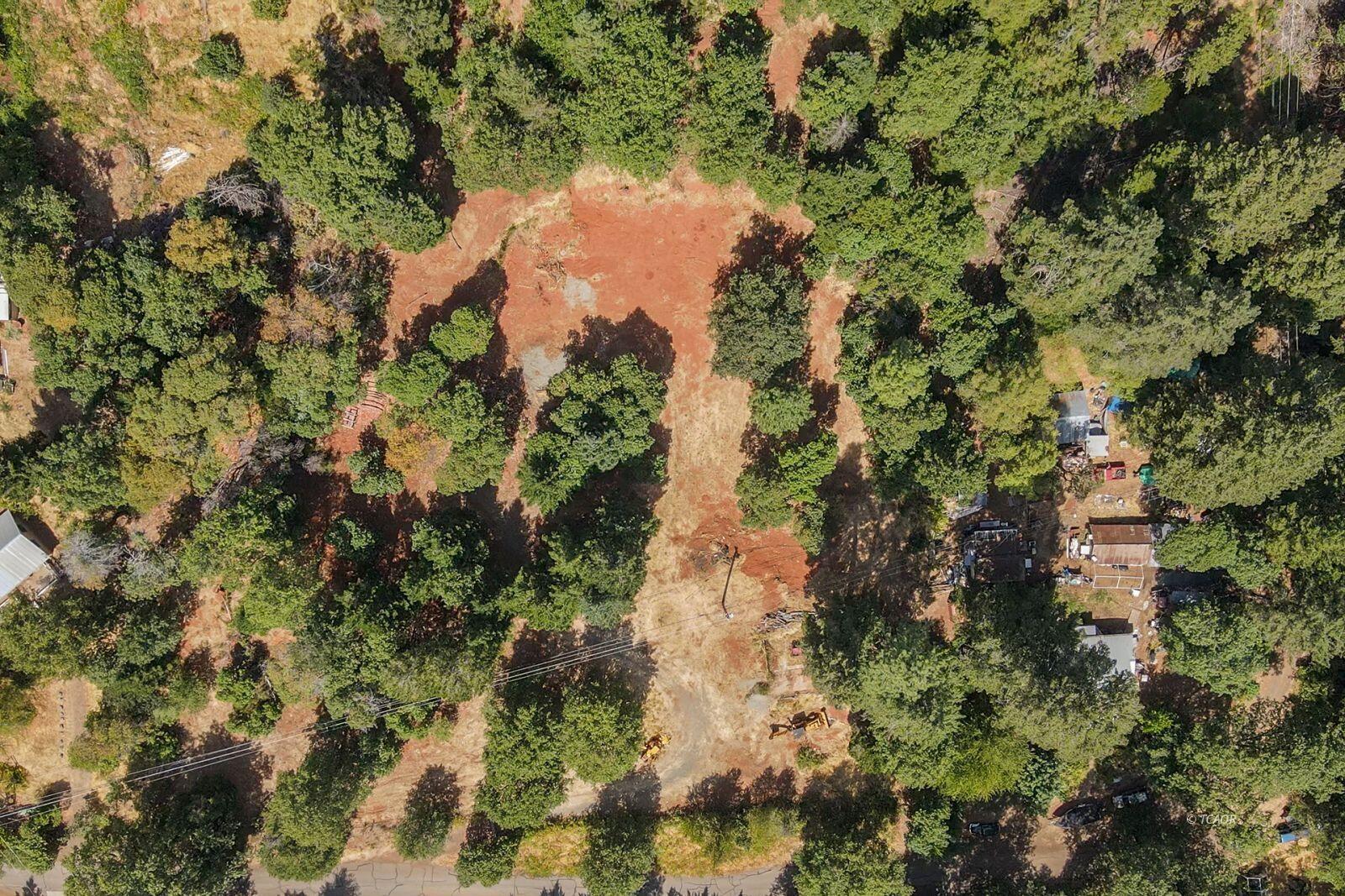 171 Conner Creek Road Junction City, CA 96048 - Photo 25 of 26 a view of a lake with a tree