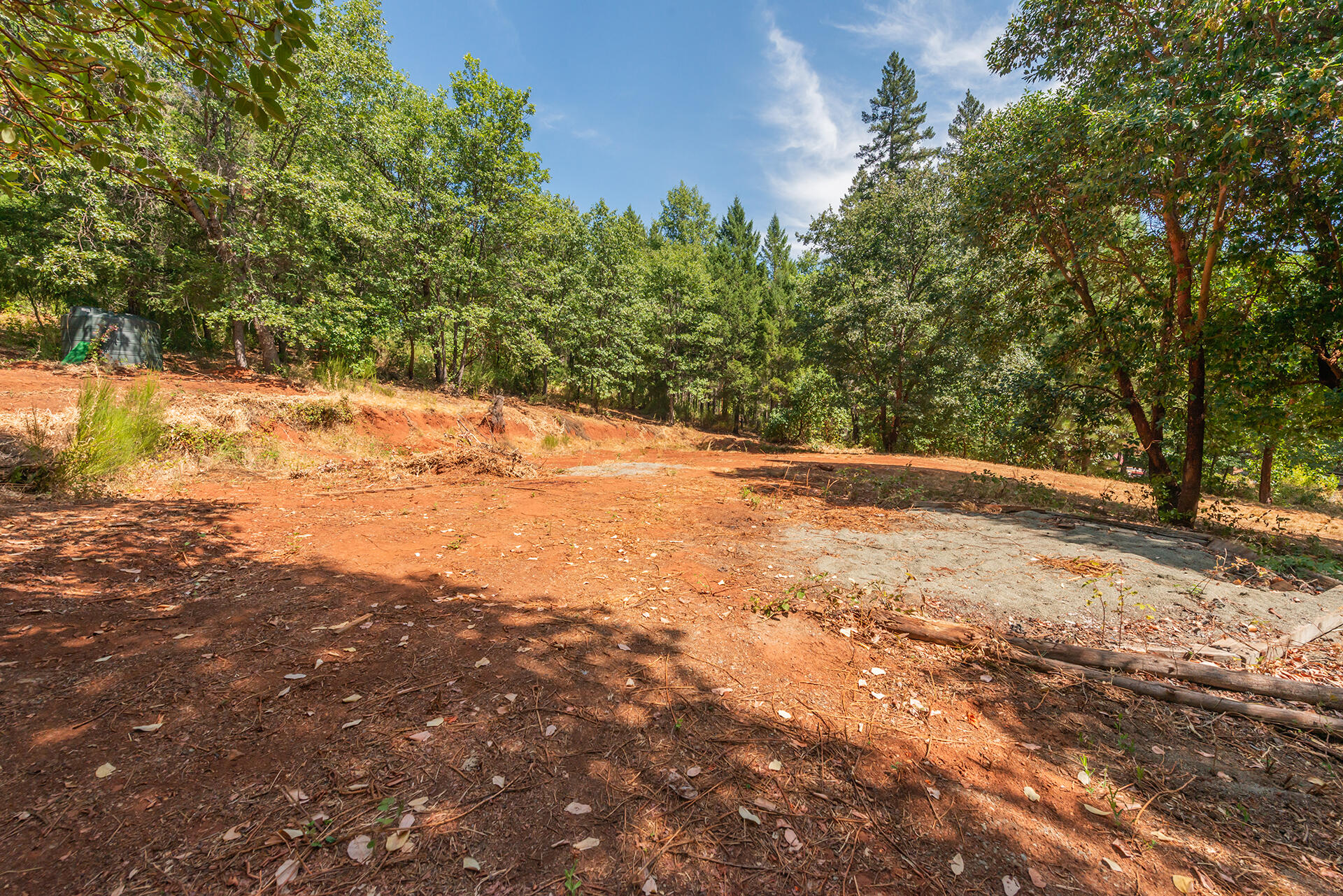 171 Conner Creek Road Junction City, CA 96048 - Photo 26 of 38 a view of empty yard with large trees
