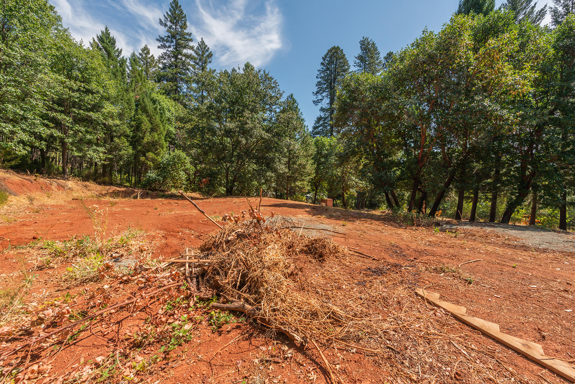 171 Conner Creek Road Junction City, CA 96048 - Photo 29 of 38 a view of a yard with a tree