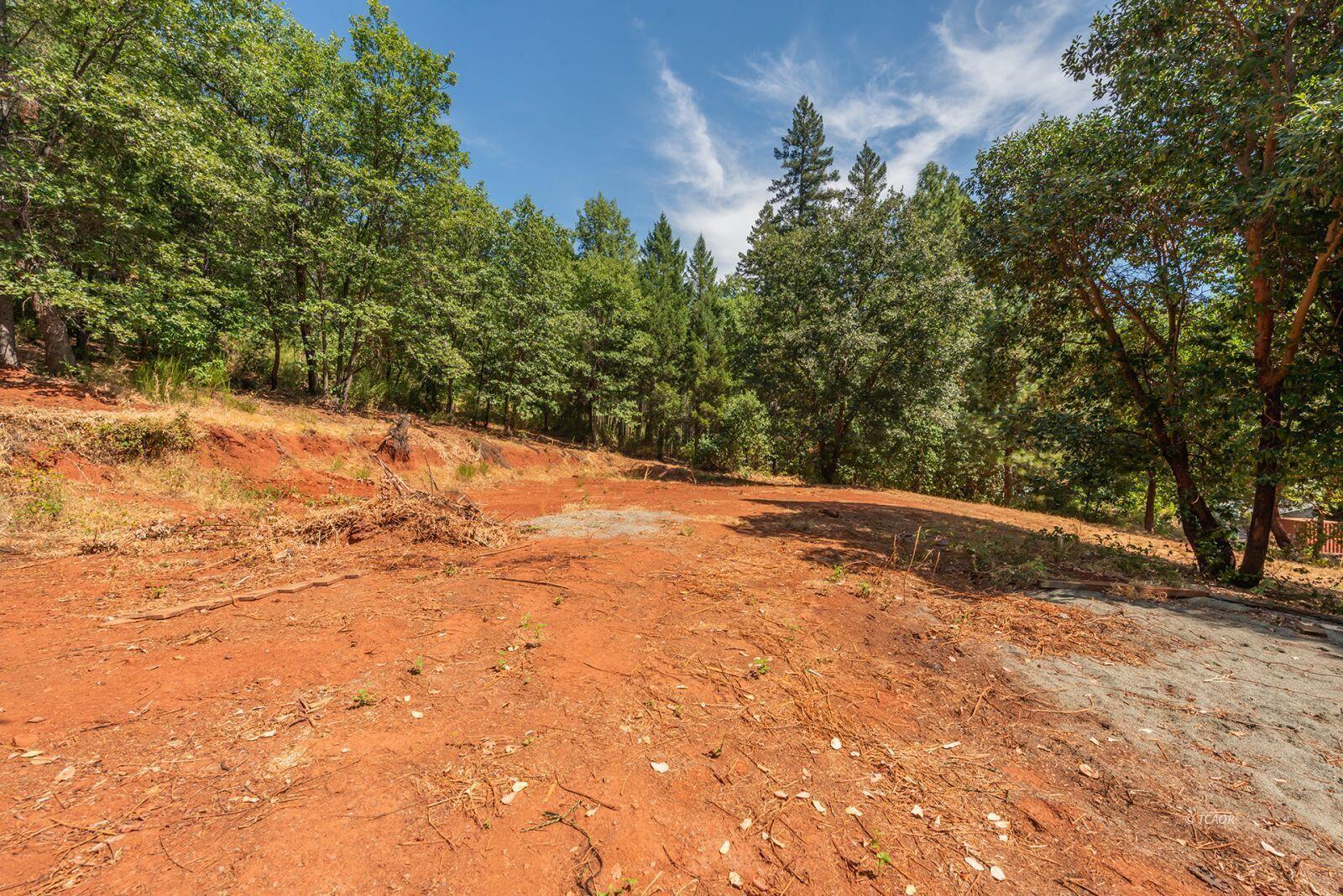 171 Conner Creek Road Junction City, CA 96048 - Photo 3 of 26 a view of empty yard with tree