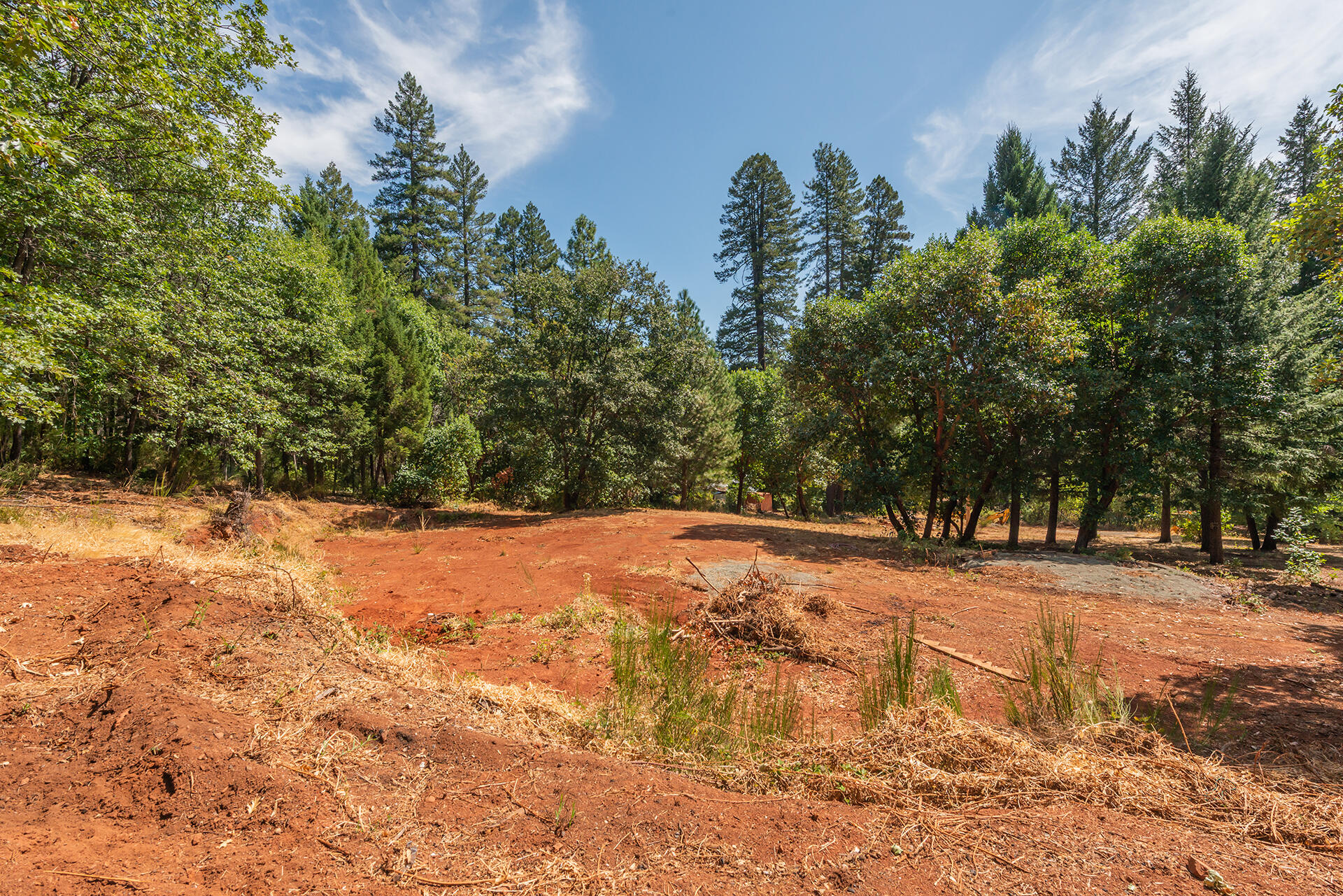 171 Conner Creek Road Junction City, CA 96048 - Photo 3 of 38 a view of a yard with large trees