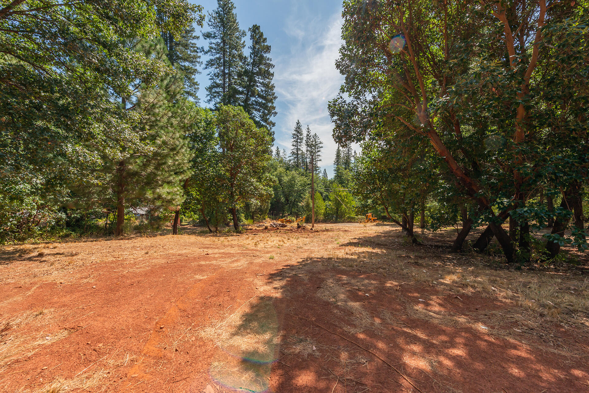 171 Conner Creek Road Junction City, CA 96048 - Photo 32 of 38 a view of a yard with a tree