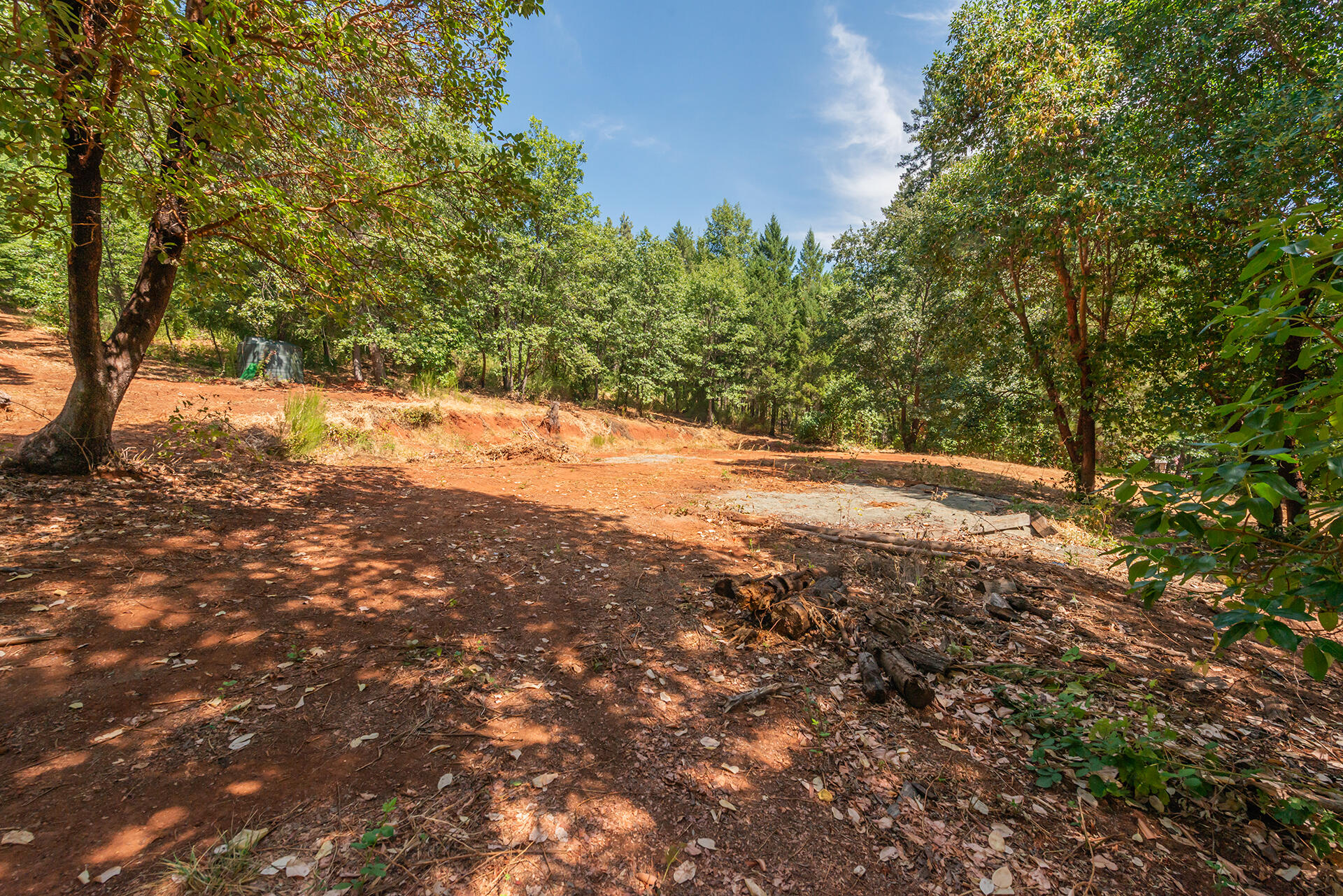 171 Conner Creek Road Junction City, CA 96048 - Photo 4 of 38 a view of a yard with a tree