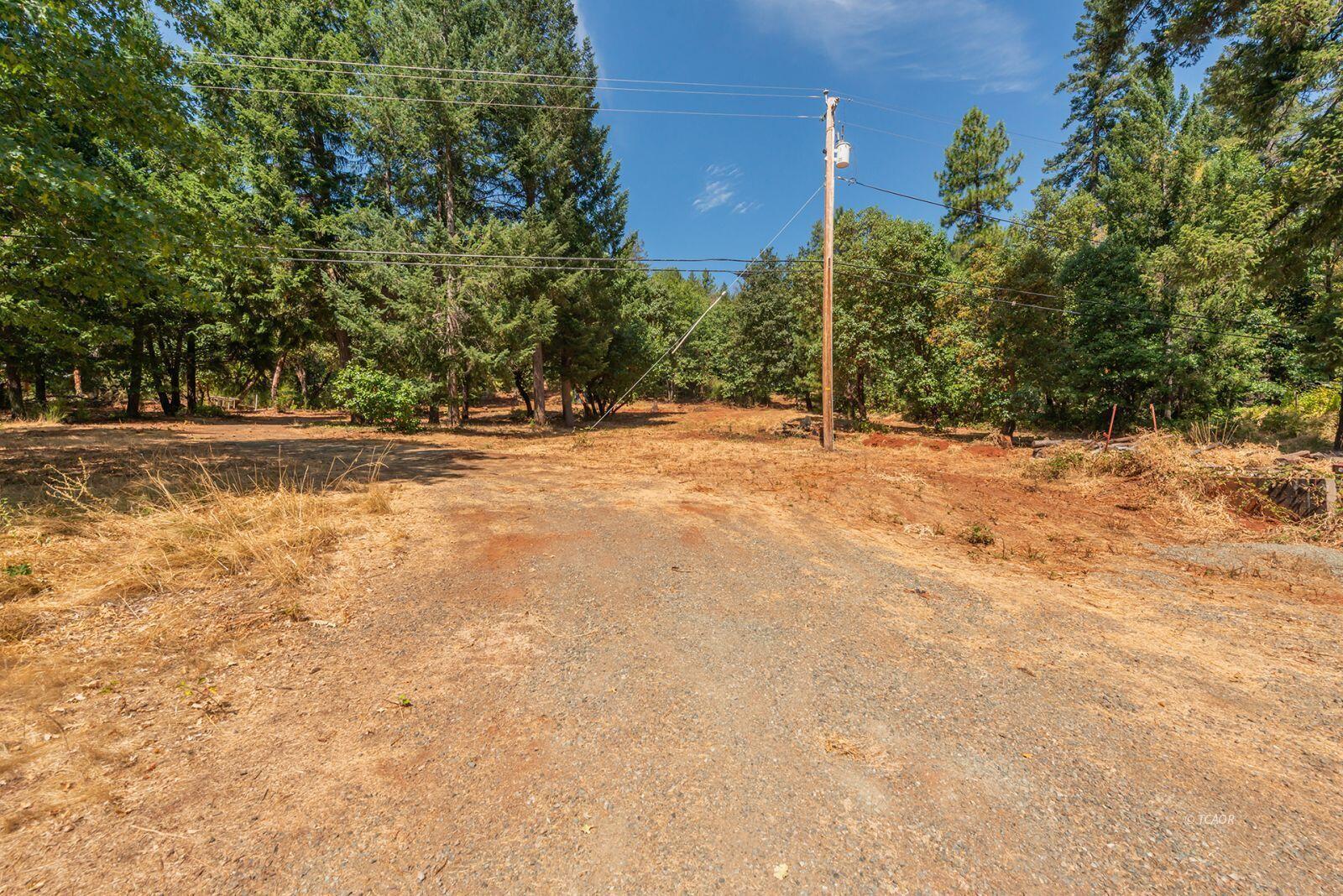 171 Conner Creek Road Junction City, CA 96048 - Photo 6 of 26 a view of a yard with a house