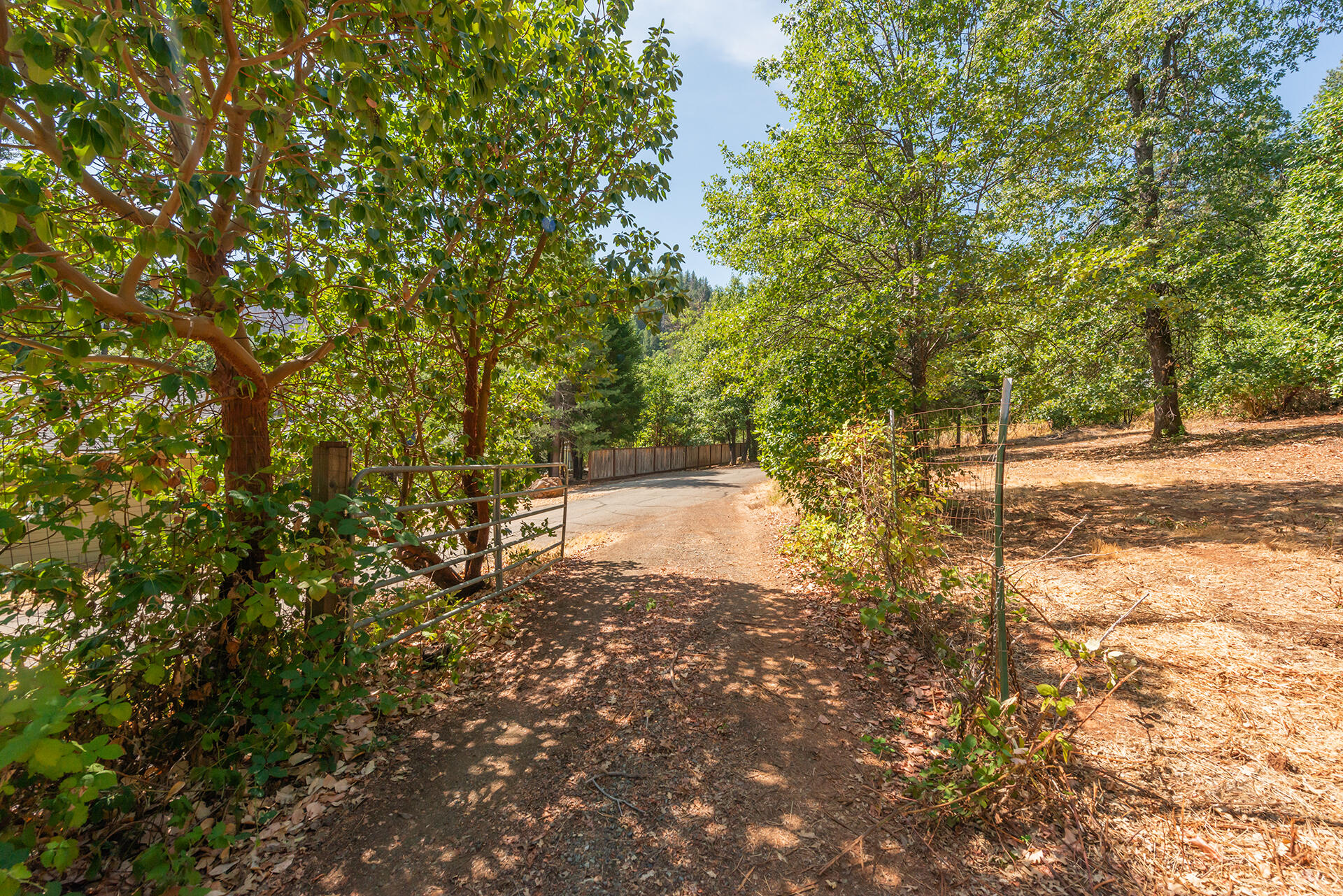 171 Conner Creek Road Junction City, CA 96048 - Photo 6 of 38 a view of a yard with plants and trees