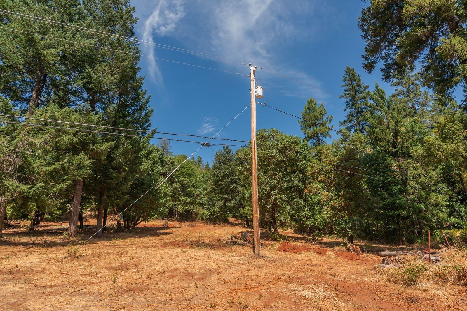 171 Conner Creek Road Junction City, CA 96048 - Photo 7 of 26 a backyard of a house with a tree
