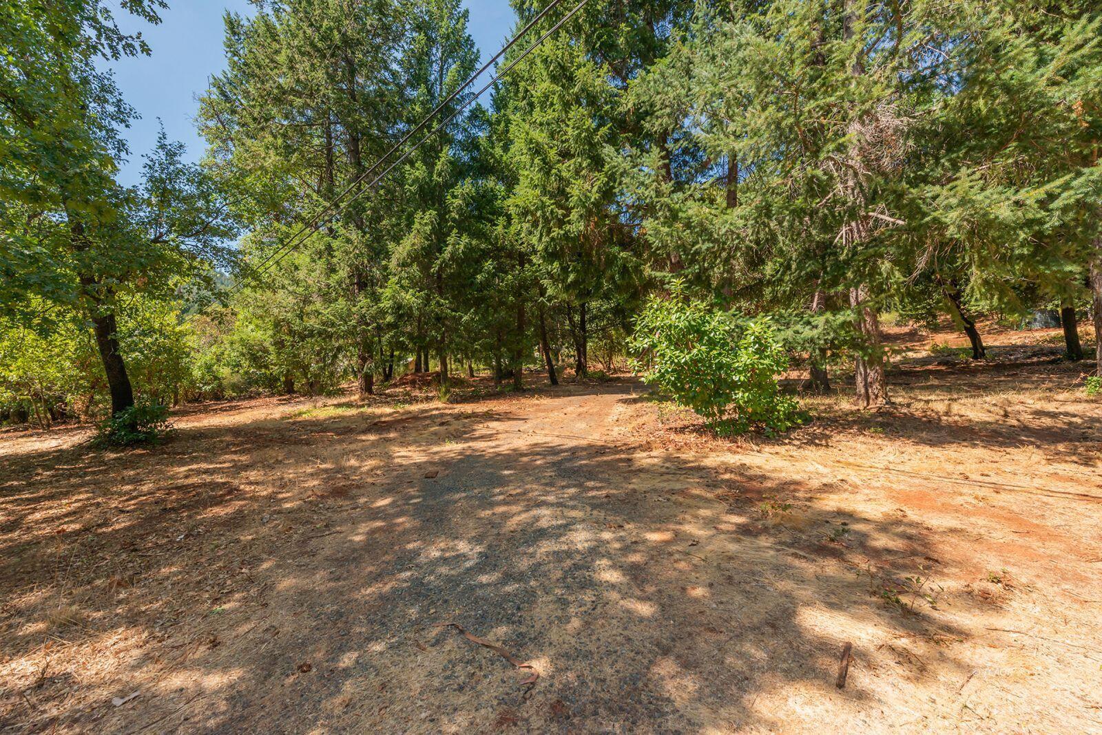 171 Conner Creek Road Junction City, CA 96048 - Photo 8 of 26 a view of outdoor space with trees