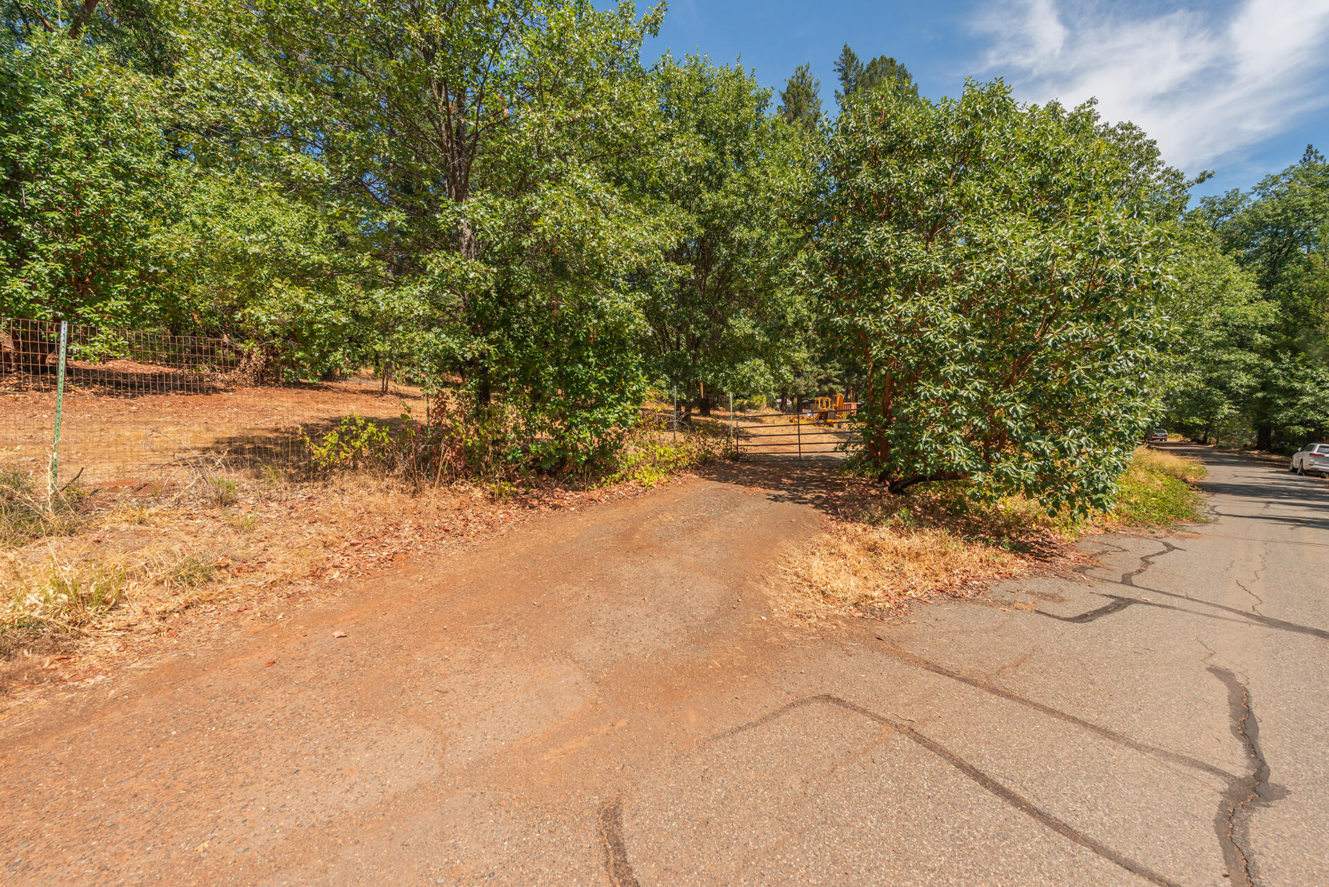 171 Conner Creek Road Junction City, CA 96048 - Photo 9 of 38 a view of a yard with a tree