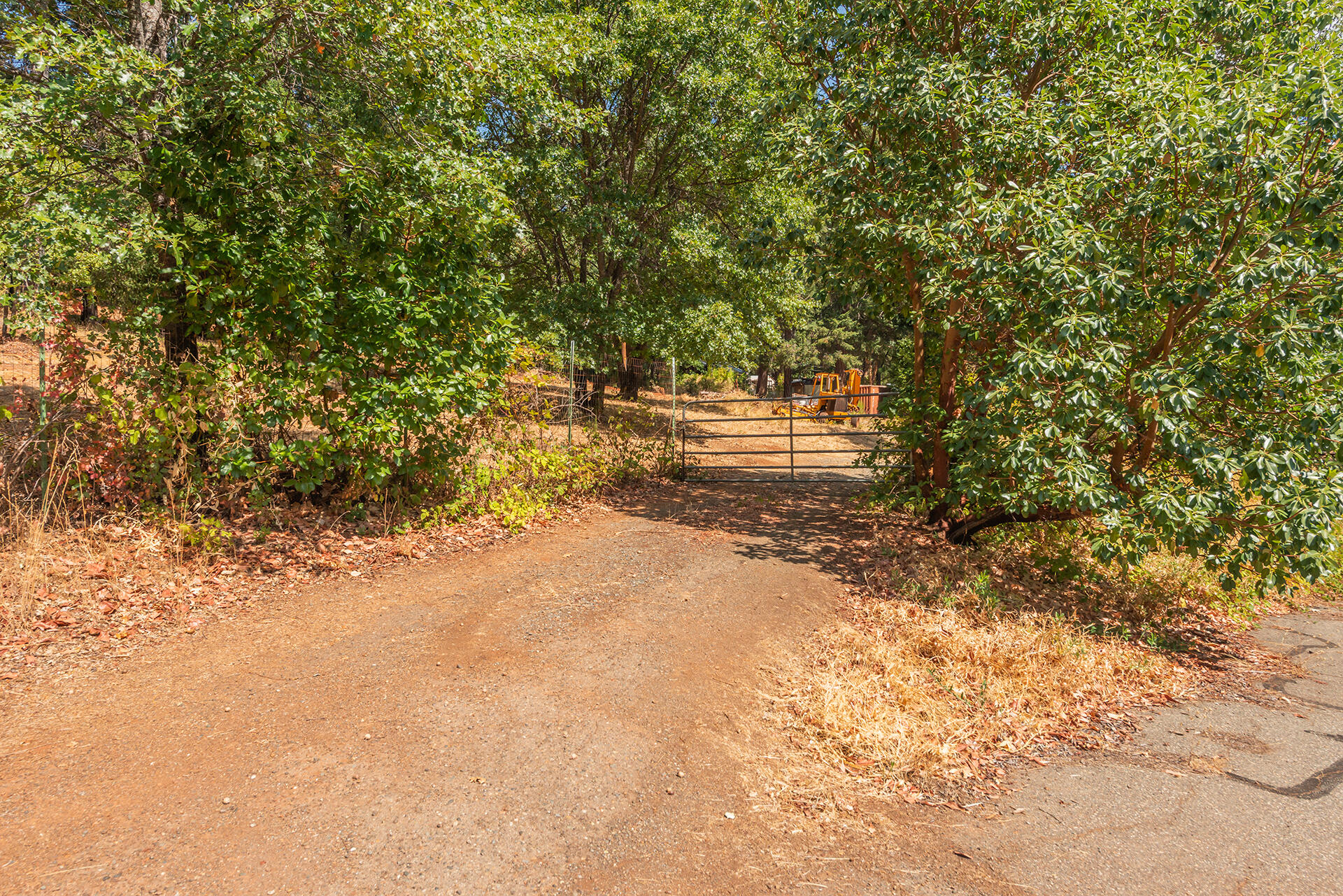171 Conner Creek Road Junction City, CA 96048 - Photo 10 of 38 DSC_0835
