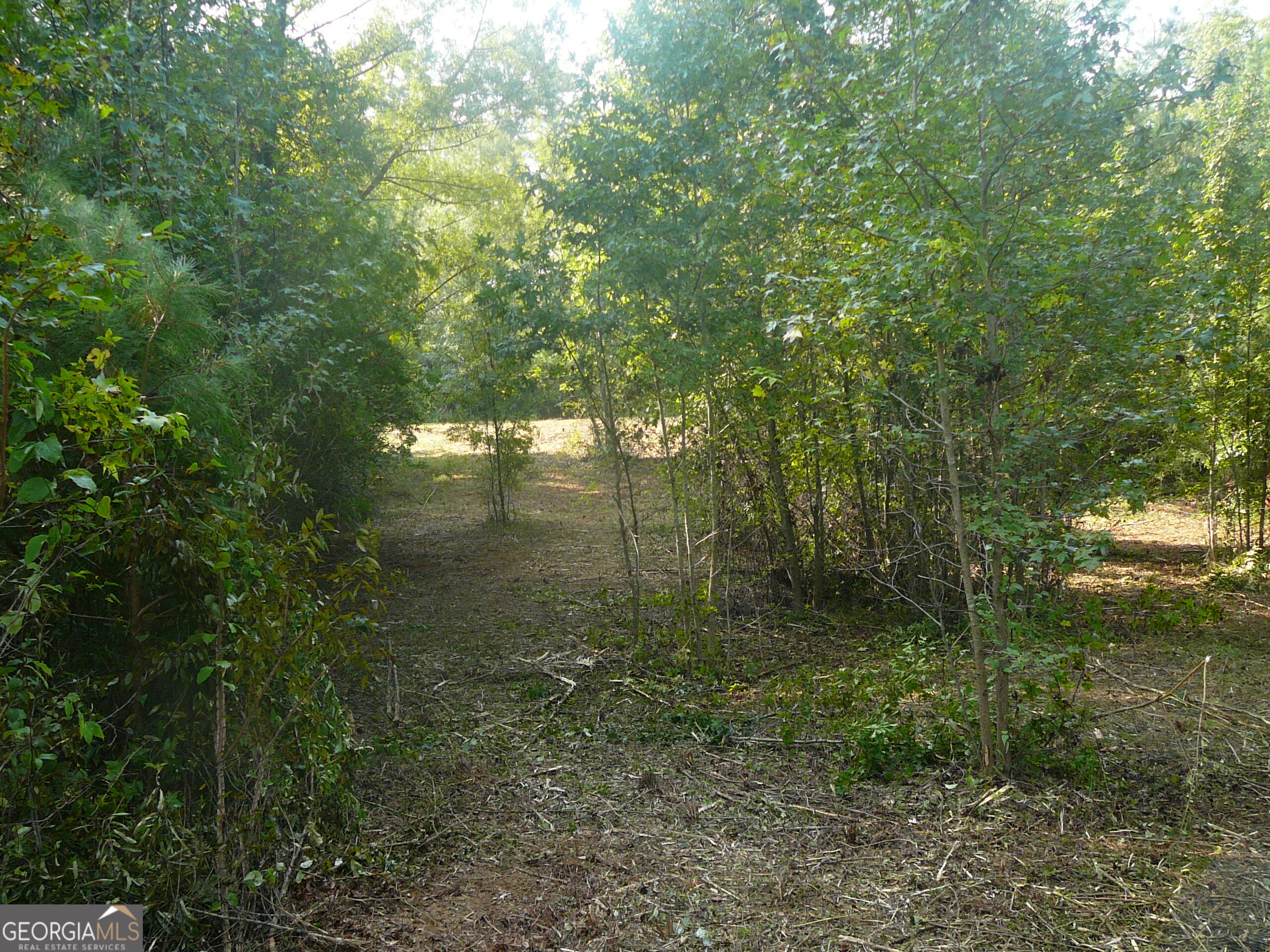 1073 Blount Road Jackson, GA 30233 - Photo 25 of 34
