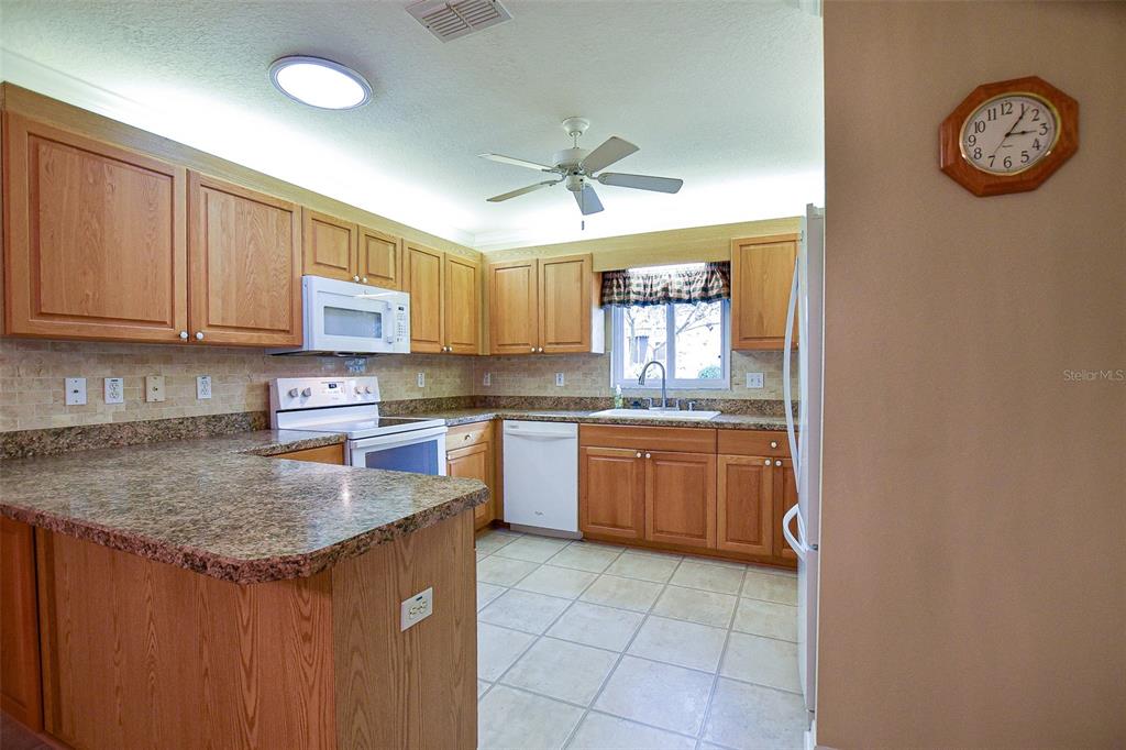 9033 Southeast 135th Loop Summerfield, FL 34491 - Photo 29 of 83
