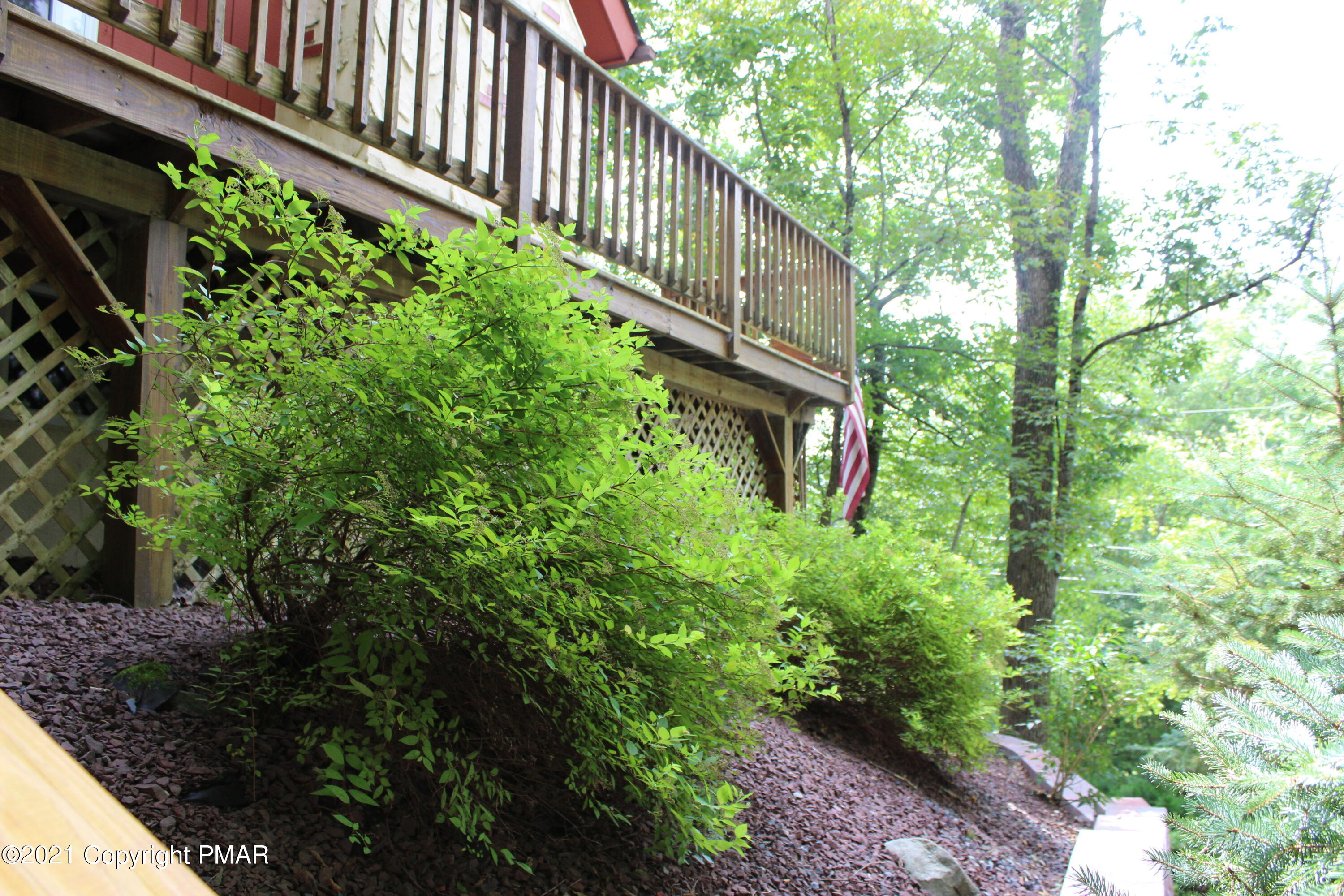 4208 Winchester Way Bushkill, PA 18324 - Photo 33 of 44 a close up of a plant in a garden