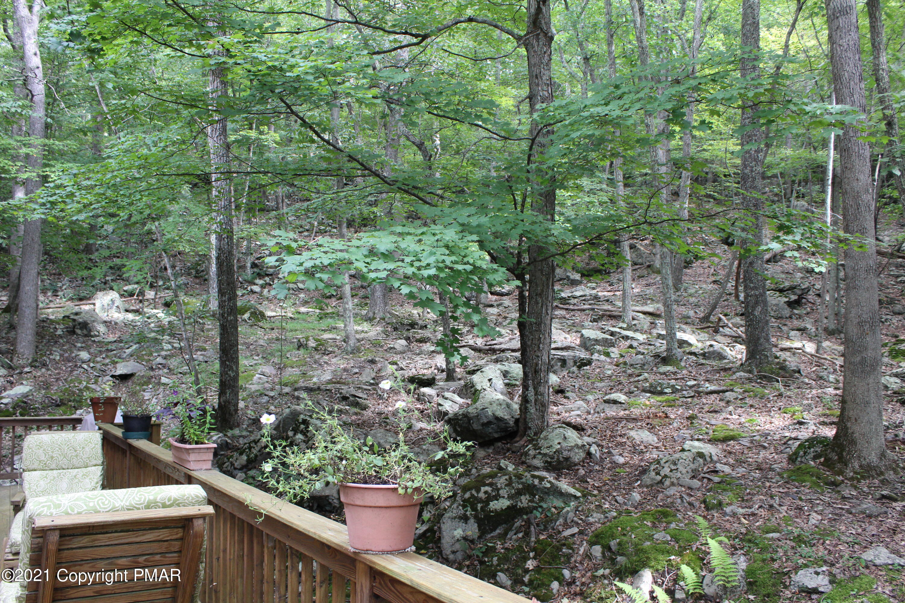 4208 Winchester Way Bushkill, PA 18324 - Photo 42 of 44 a view of a forest filled with trees
