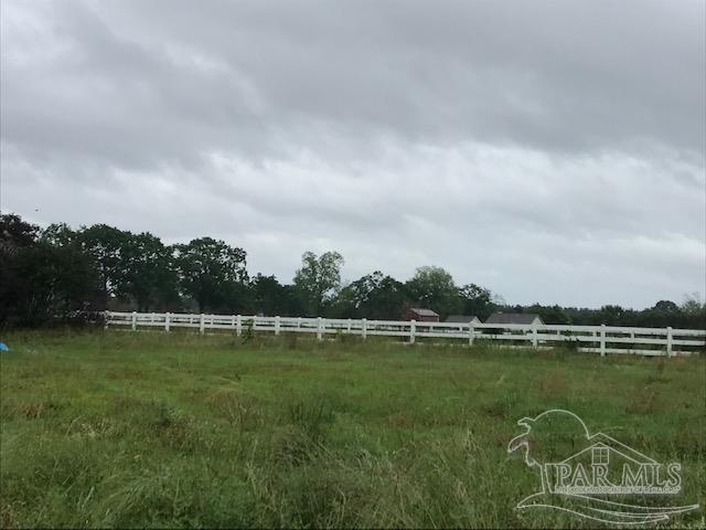 2967 Bud Diamond Road Jay, FL 32565 - Photo 13 of 18