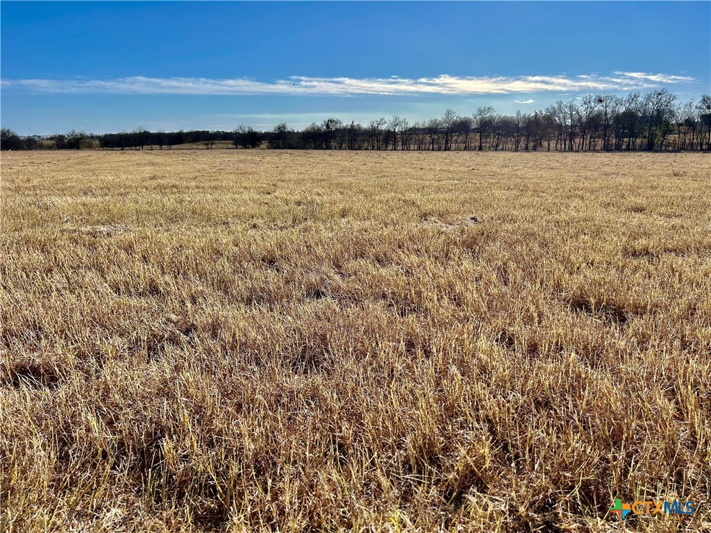 8603 Pecan Road Troy, TX 76579 - Photo 5 of 7 a view of lake and mountain
