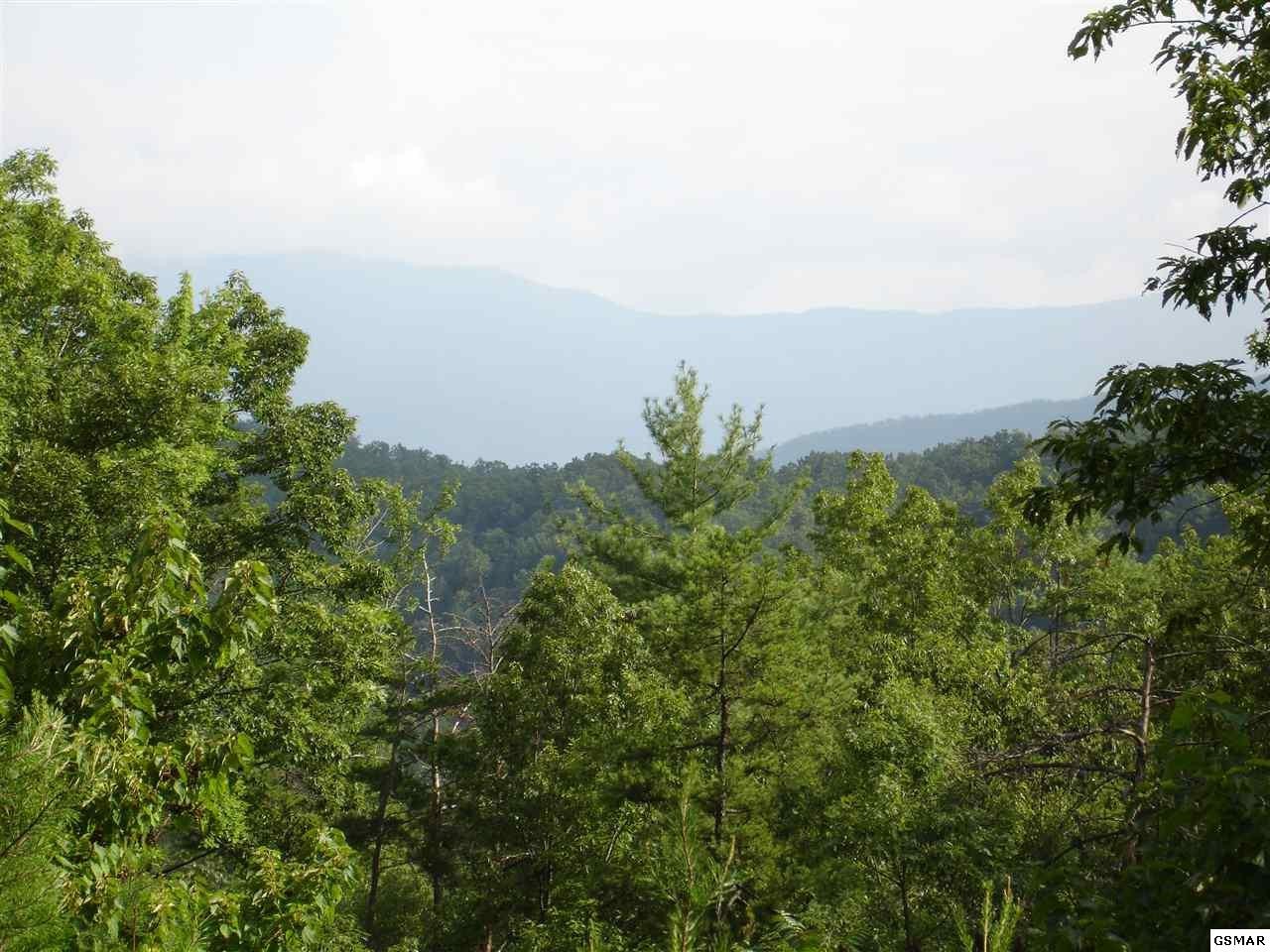 0 Stinnett Ridge Road Cosby, TN 37722 - Photo 1 of 10