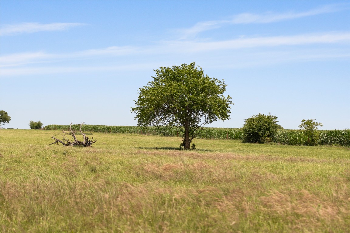 16160 Siler Road Moody, TX 76557 - Photo 16 of 40