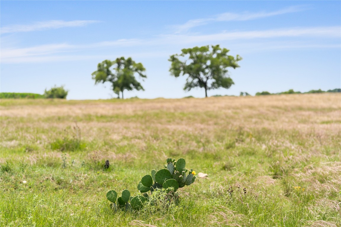 16160 Siler Road Moody, TX 76557 - Photo 20 of 40