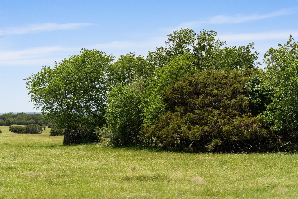 16160 Siler Road Moody, TX 76557 - Photo 23 of 40 a view of a garden