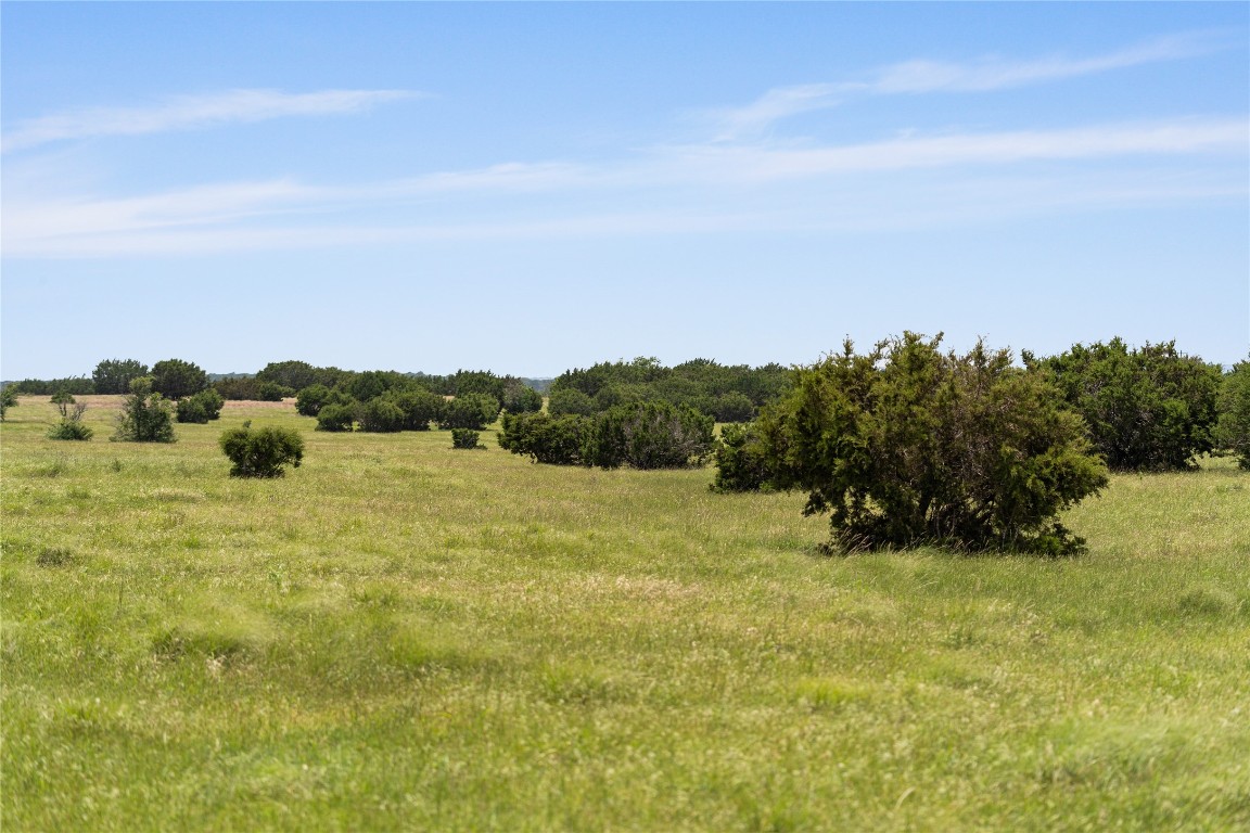 16160 Siler Road Moody, TX 76557 - Photo 24 of 40 a view of a field of grass and trees