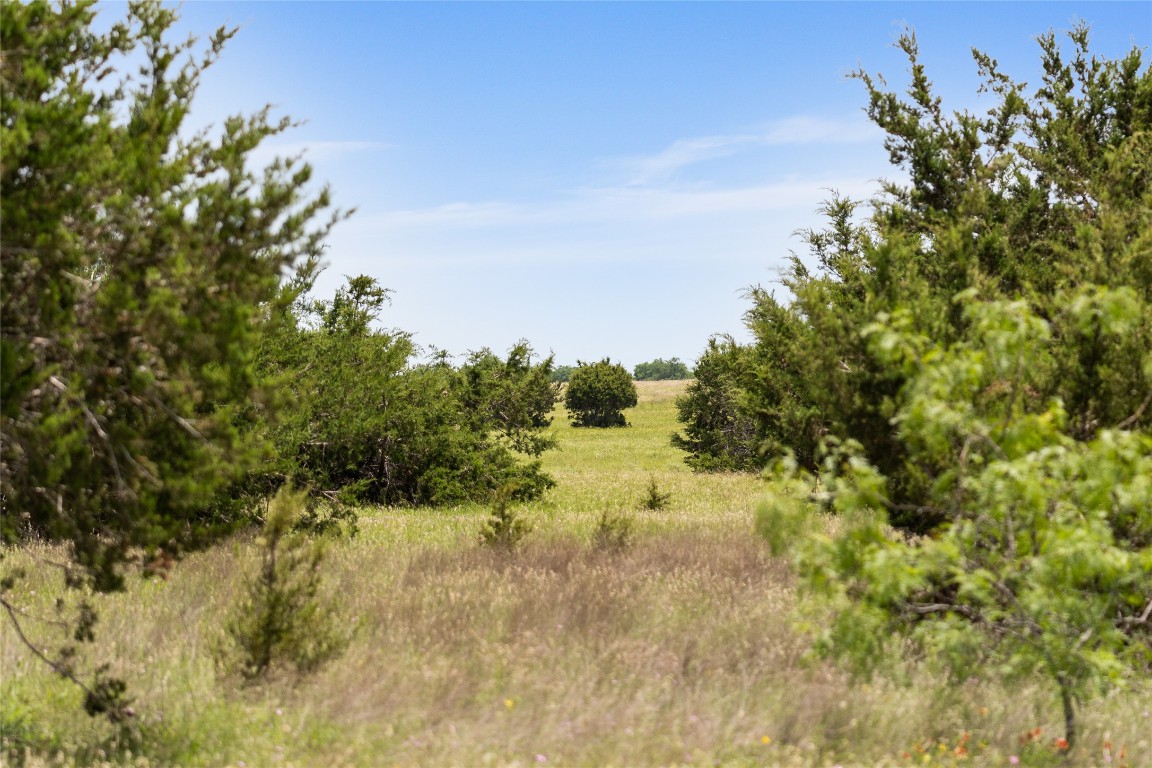 16160 Siler Road Moody, TX 76557 - Photo 27 of 40 a view of a forest with trees in the background