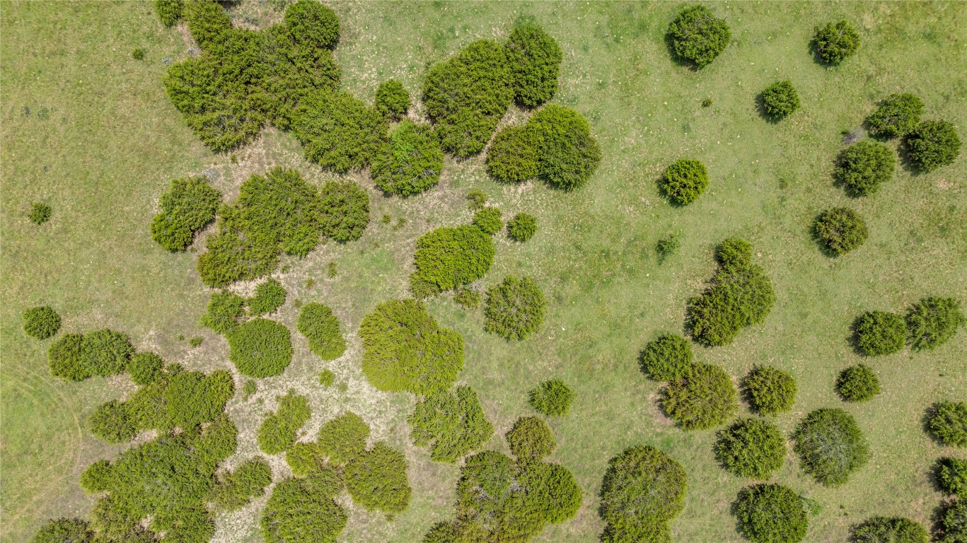 16160 Siler Road Moody, TX 76557 - Photo 30 of 40 a bathroom with a shower curtain