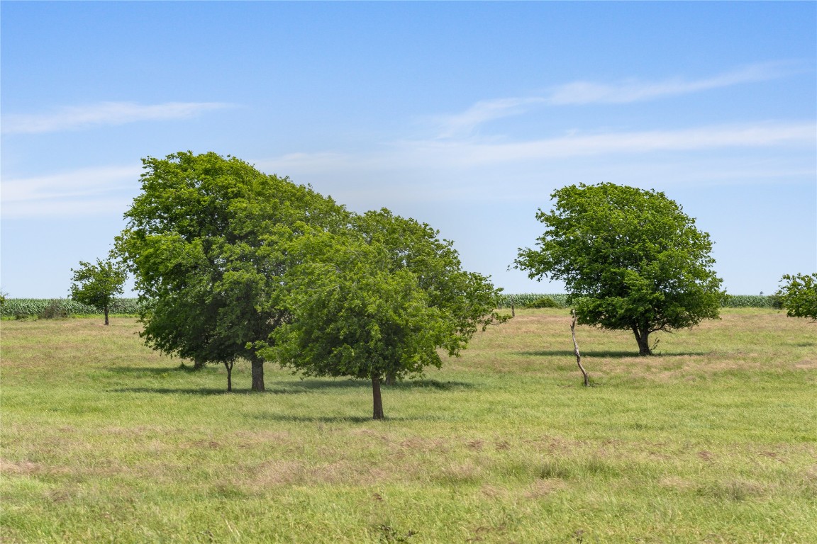 16160 Siler Road Moody, TX 76557 - Photo 3 of 40 a view of beach and ocean view