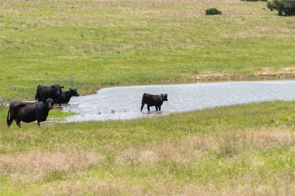 16160 Siler Road Moody, TX 76557 - Photo 5 of 40 a view of yard with ocean view