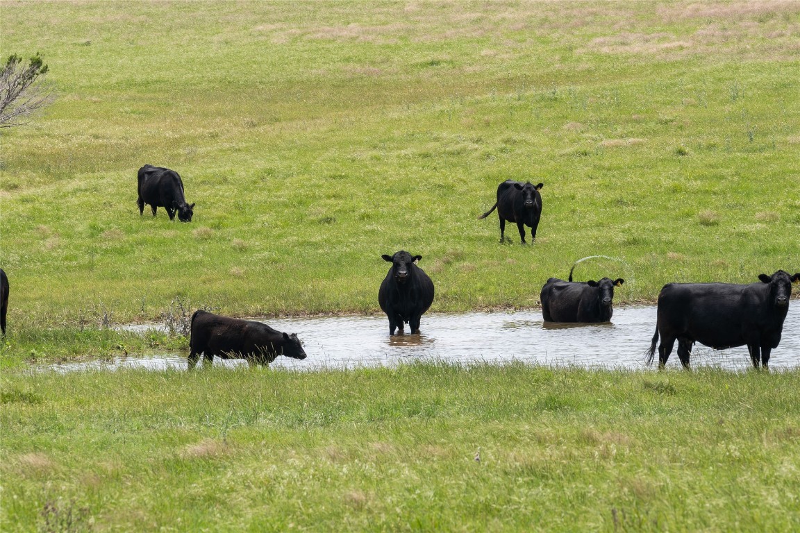 16160 Siler Road Moody, TX 76557 - Photo 6 of 40 a view of a ocean view