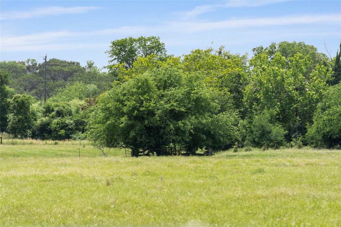 16160 Siler Road Moody, TX 76557 - Photo 7 of 40 a view of a yard with a tree