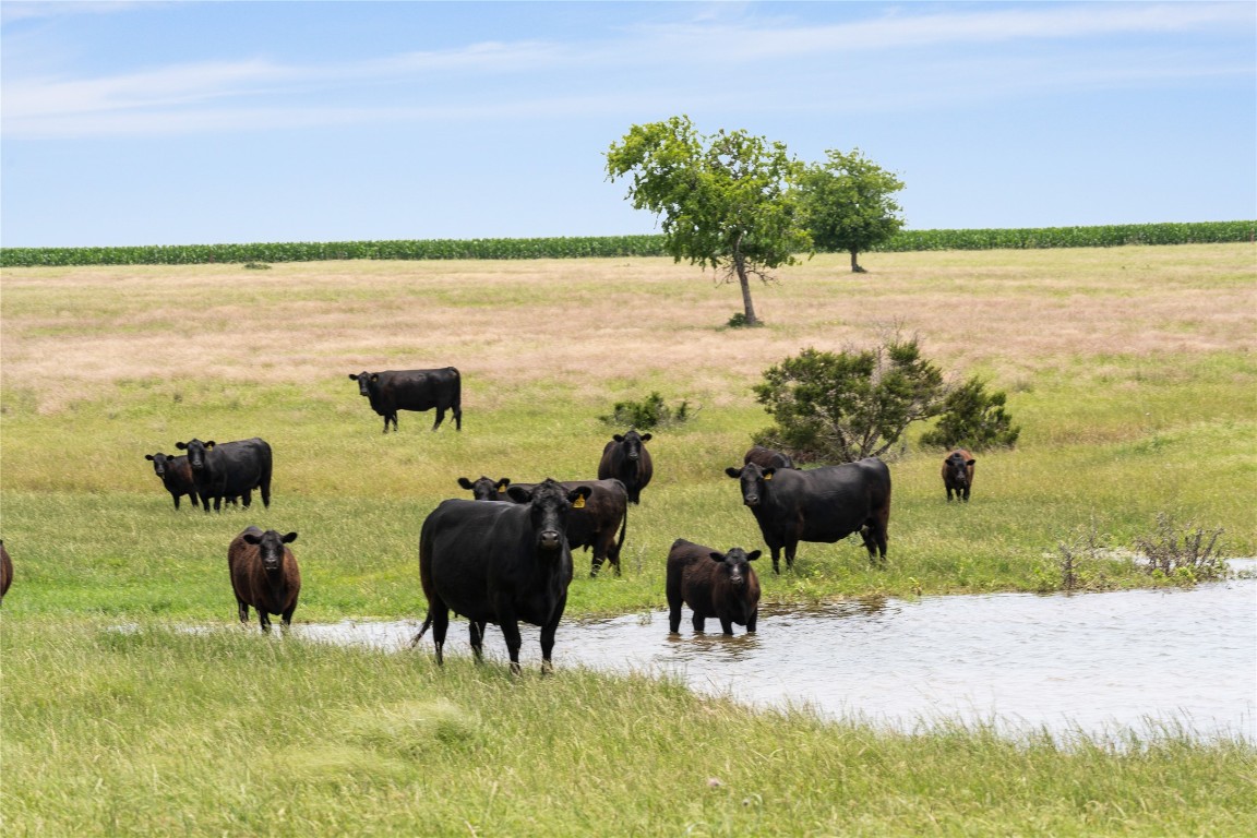 16160 Siler Road Moody, TX 76557 - Photo 8 of 40 a view of a ocean beach and beach